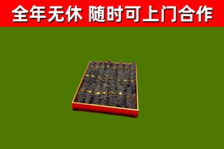颍东回收海参